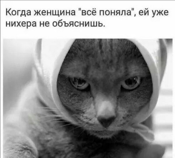 картинка 16cd52cc11 21076613