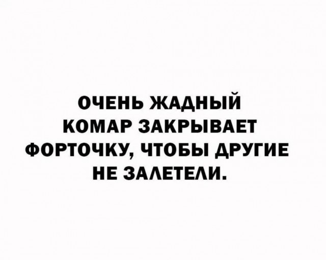 картинка 172f92baac 21107680