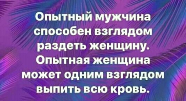 картинка 1f21232058 21107723