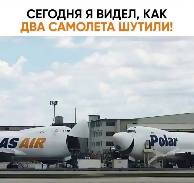 картинка 220f455785 21057362