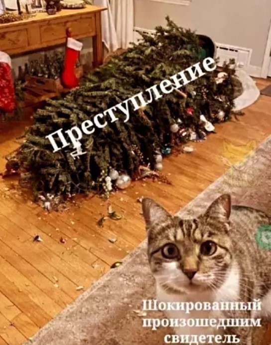 картинка 24ce16f416 21099770