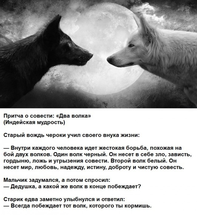 картинка 270208067d 21122207