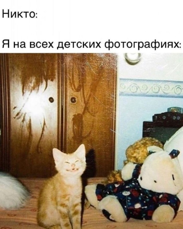 Среда — это маленькая пятница! Ловите порцию мемов, чтобы дотянуть до выходных с улыбкой 😄 Среда, недели, подборку, смотрим, задачи, рабочие, ненадолго, откладываем, позитивом, дыханииЗаряжаемся, одном, пролетела, половина, маленькая, вторая, чтобы, мемов, свежих, порцию, собрали