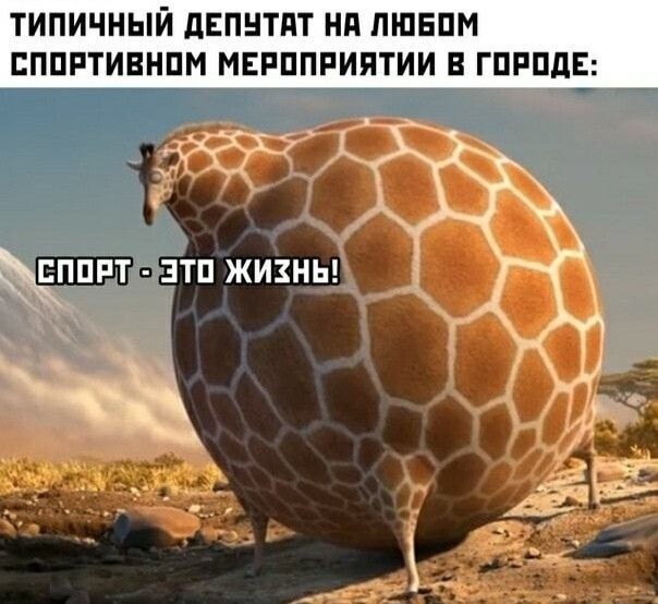 Когда до пятницы — целая вечность: порция юмора, чтобы дотянуть до выходных! 😄