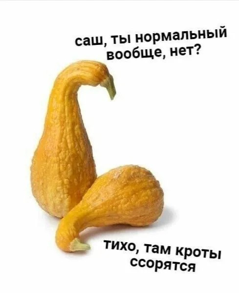 картинка 2aa0abeaed 000