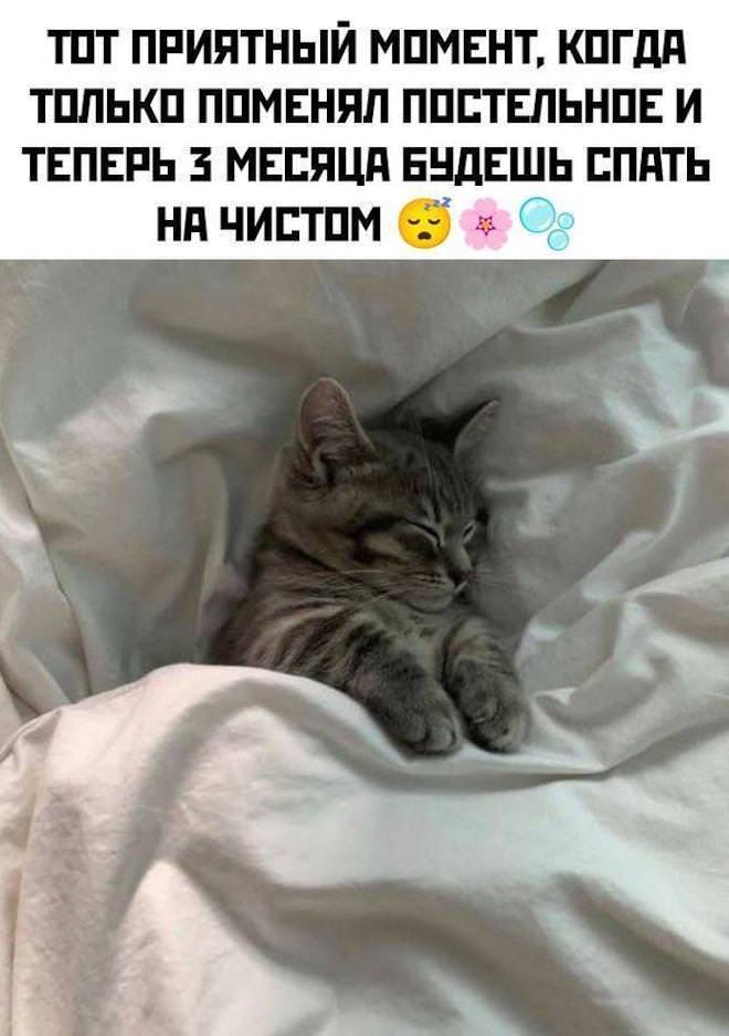 картинка 2bc556e892 smeh prodlevaet zhizn novyj sbornik shutok dlja vashego otlichnogo nastroenija 6