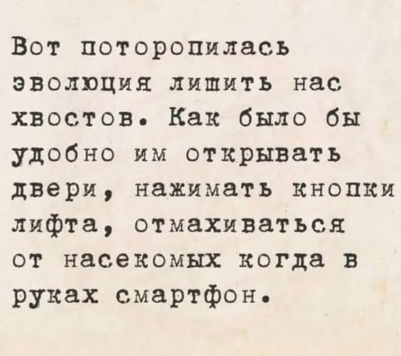 картинка 2d764e04a9 21091135