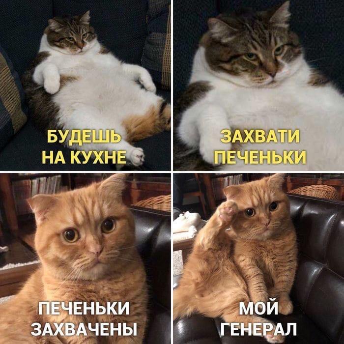 картинка 2f4a9350f3 00