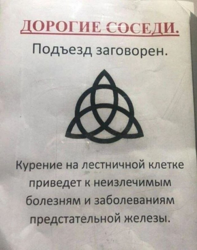 картинка 2f8e378d09 21108138