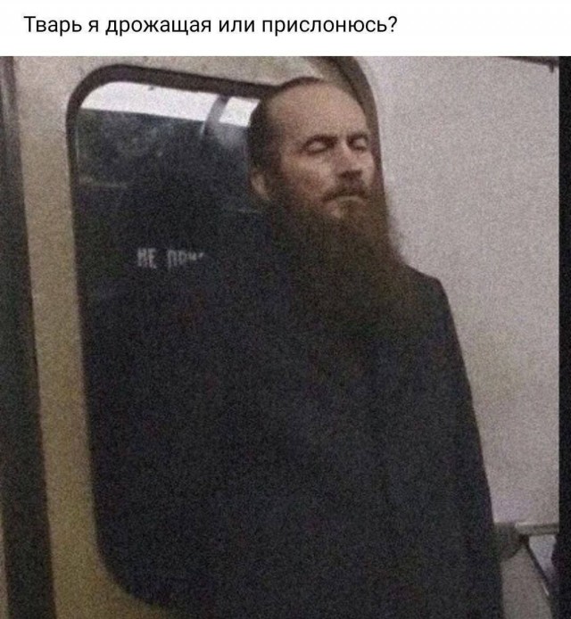 картинка 3117fff097 21091439