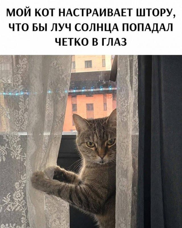 картинка 338c0f903e pjatnica lovim volnu pozitiva 7