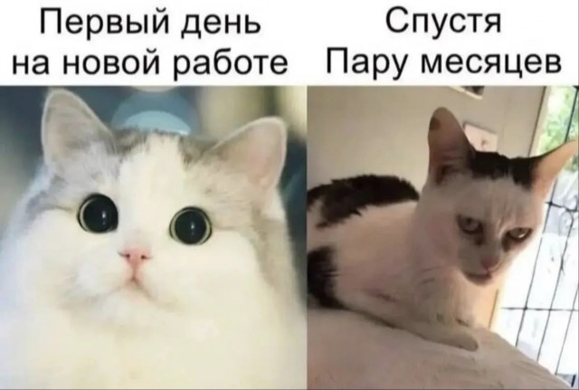 картинка 347bc89cb2 21076377