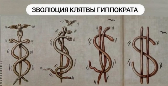 картинка 350de0e0de 21119155