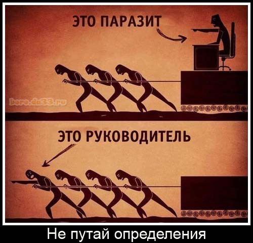 картинка 374a6ff304 21091627