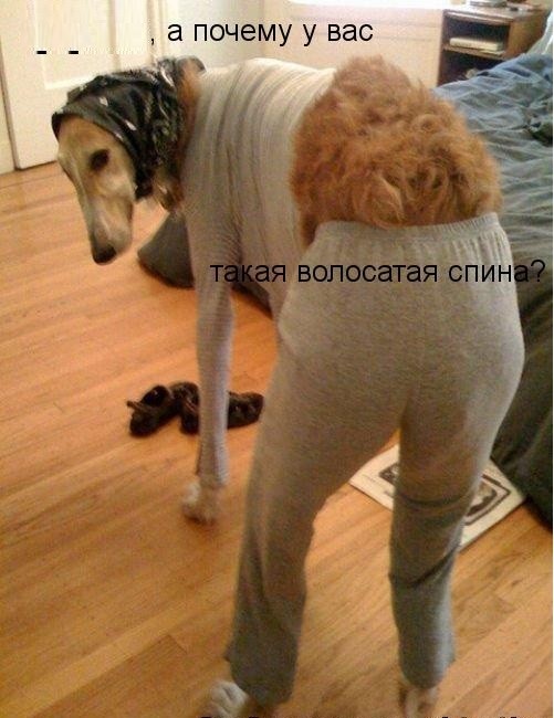 картинка 37a77eec70 21077251
