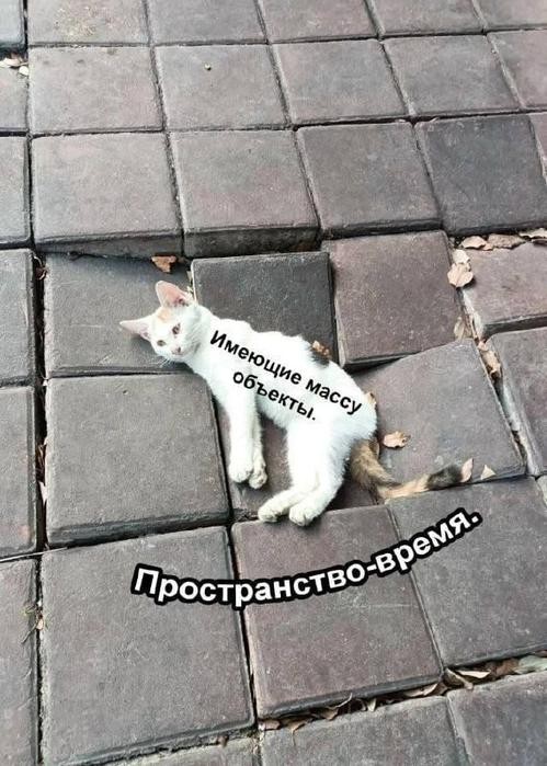 Ваша доза хорошего настроения на выходные ☕️✨ Ваша доза хорошего настроения на выходные ☕️✨ Рабочая, свежую, заряжаться, погнали, поудобнее, устраивайтесь, покрепче, Заваривайте, улыбнуться, заставят, точно, которые, мемов, отборных, порцию, васСобрали, неделя, сделали, контента, годного