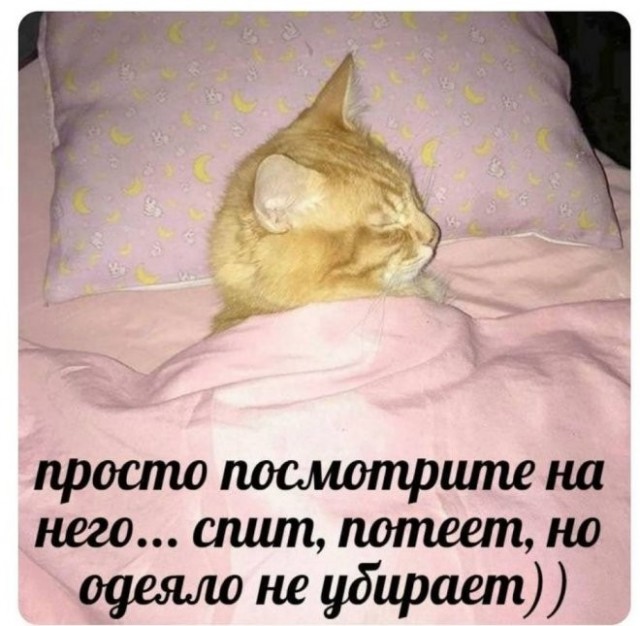 Среда — это маленькая пятница! Ловите порцию мемов, чтобы дотянуть до выходных с улыбкой 😄 Среда, недели, подборку, смотрим, задачи, рабочие, ненадолго, откладываем, позитивом, дыханииЗаряжаемся, одном, пролетела, половина, маленькая, вторая, чтобы, мемов, свежих, порцию, собрали