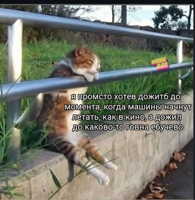 картинка 3bc8055e3b 21077246