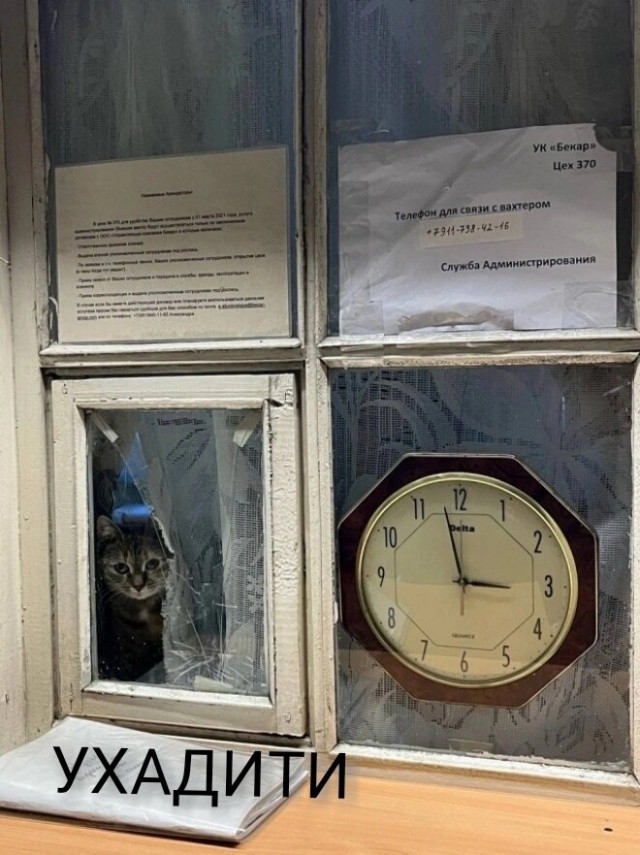 картинка 3cc9ef4914 21077219
