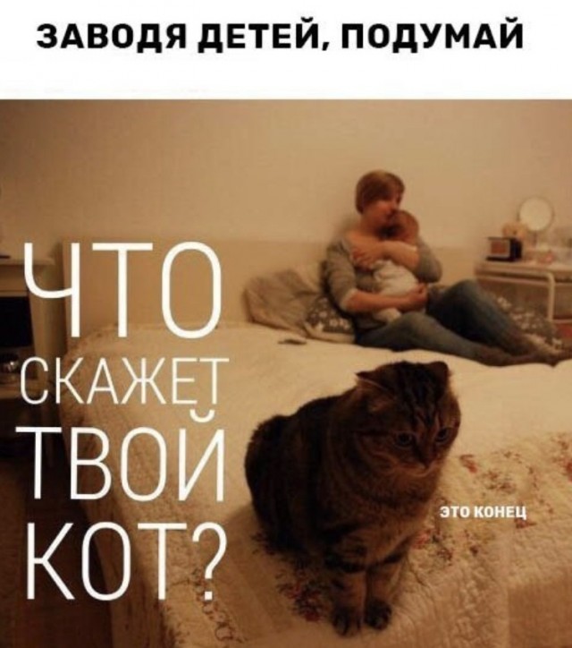 картинка 3cedef842e 21076839