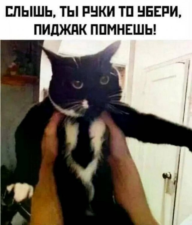 Понедельник — день тяжелый? Только если вы не решили начать его с порции хорошего настроения! ☕️✨ Понедельник — день тяжелый? Только если вы не решили начать его с порции хорошего настроения! ☕️✨ сегодня, знаем, смейтесь, Надеемся, помогут, выдохнуть, улыбнуться, настроиться, продуктивный, легкий, ладЛистайте, карусель, помните, начале, пятницы, осталось, всего, какой, Делитесь, комментариях