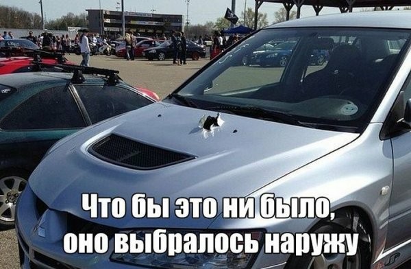 картинка 3f9b6c82b7 21121693