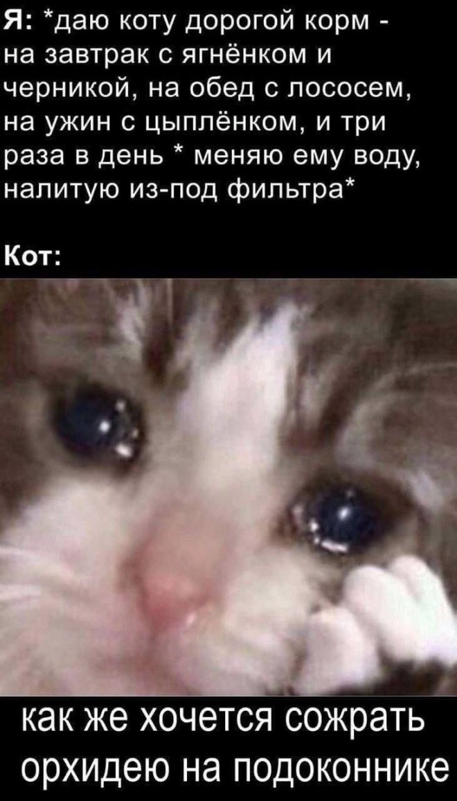 картинка 423d5e4110 hvatit grustit zarjazhaemsja porciej otbornogo jumora 8