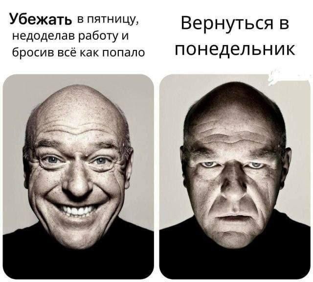 картинка 442b6c4834 21061548
