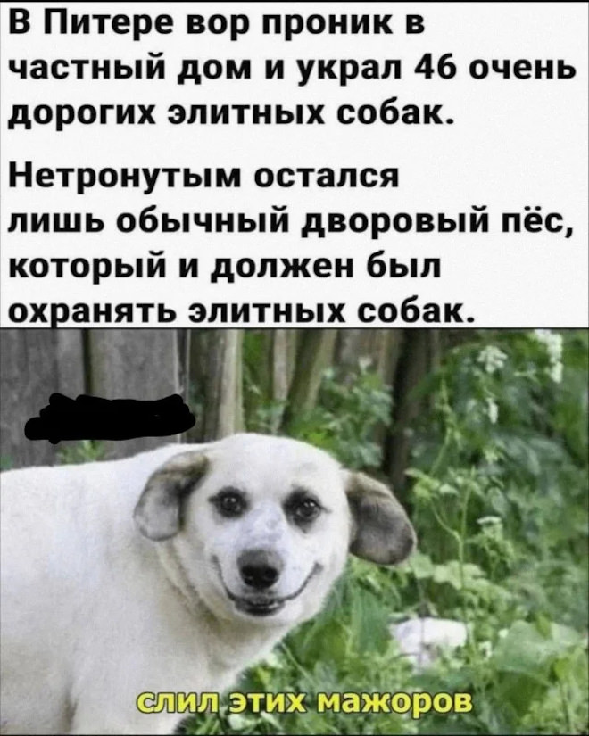 картинка 48f8fafbef smeh prodlevaet zhizn novyj sbornik shutok dlja vashego otlichnogo nastroenija 10