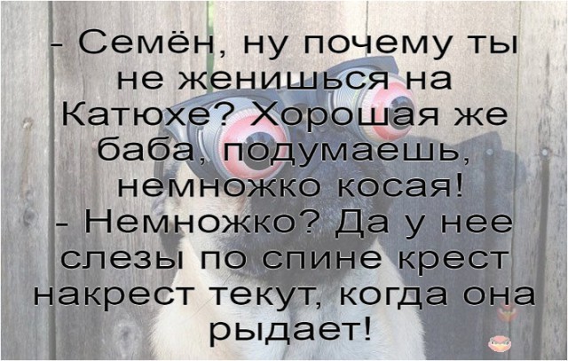 картинка 4d8da07f98 21129578