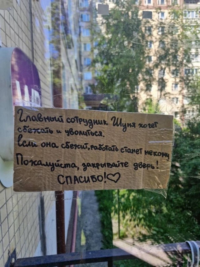 картинка 4e86122c3f 21076667