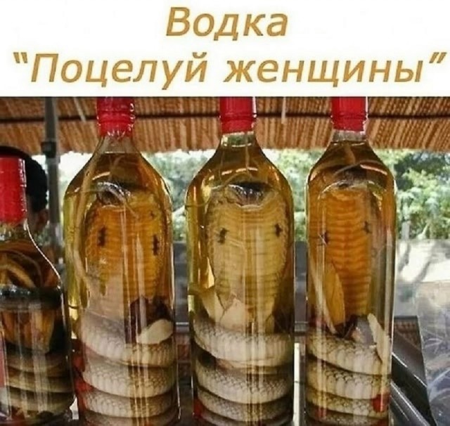 картинка 4eed8305bb 21129479