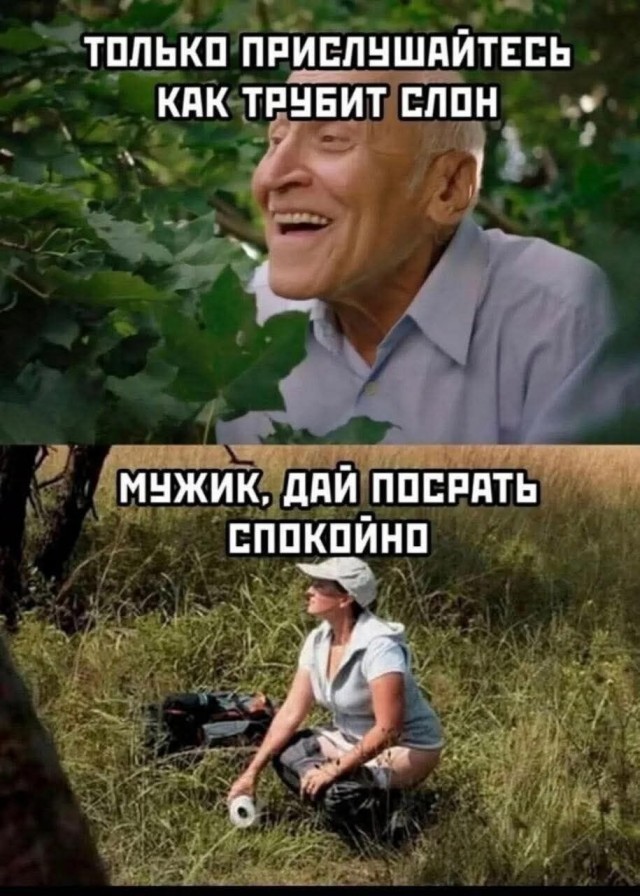 картинка 4f577a4d3d 21091493