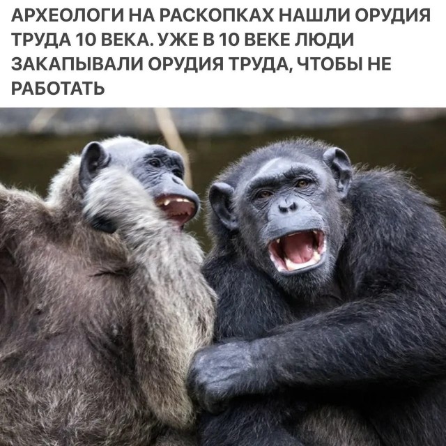 картинка 523b52f14c 21061414