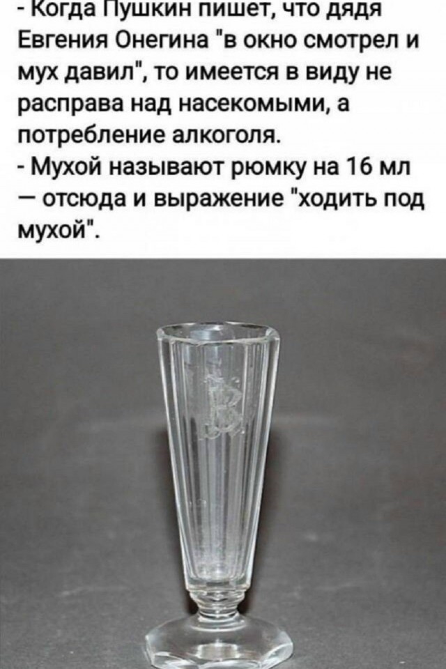 картинка 52a1370b50 21112922