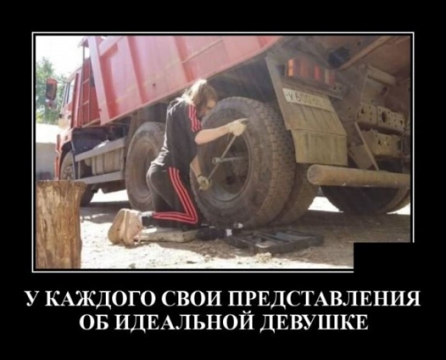 картинка 531b49a704 21121703