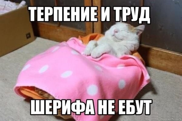 картинка 53e6833d79 21077143