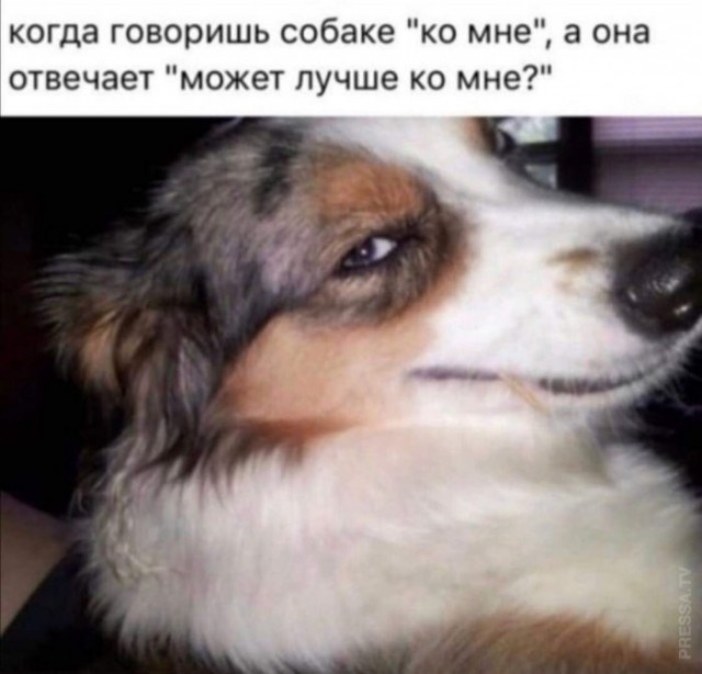 Устали от серых будней? У нас есть «лекарство»! 💊 Устали от серых будней? У нас есть «лекарство»! 💊 Друзья, сохраняйте, абсурдного, юмора, которого, сводит, скулы, Листайте, делитесь, которых, нужен, заряд, позитива👇, Заряжаемся, хорошим, настроением, прямо, узнаешь, ситуаций, знаем