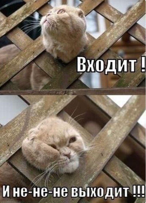 картинка 54d0d13fb4 21078570