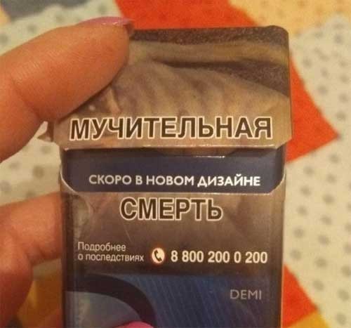 картинка 56a4b307fd 21107617