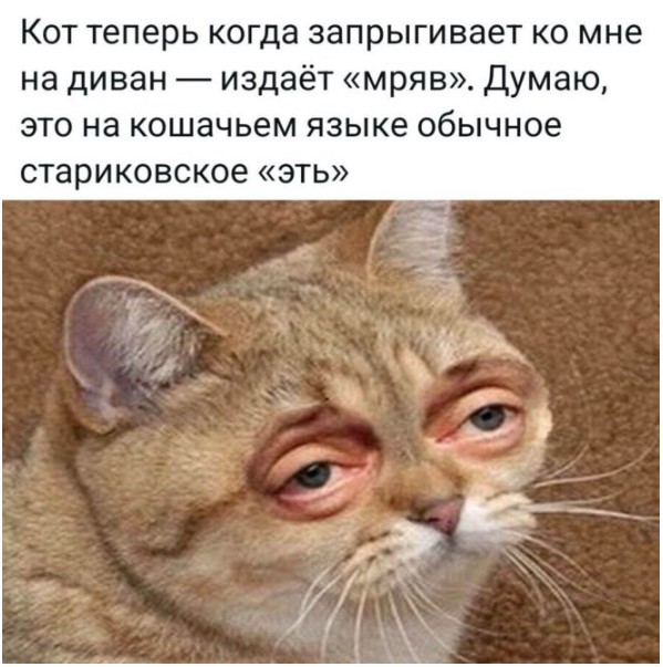 Улыбнись этому дню! Сборник самых смешных мемов и прикольных картинок для твоего позитива! которые, точно, заставят, самые, уморительных, собрали, чтобы, сказать, абсурдный, повороты, интерпретациюНеожиданные, смешную, подарили, каждым, происходят, моменты, бывает, юмораСитуации, когда, шедевр