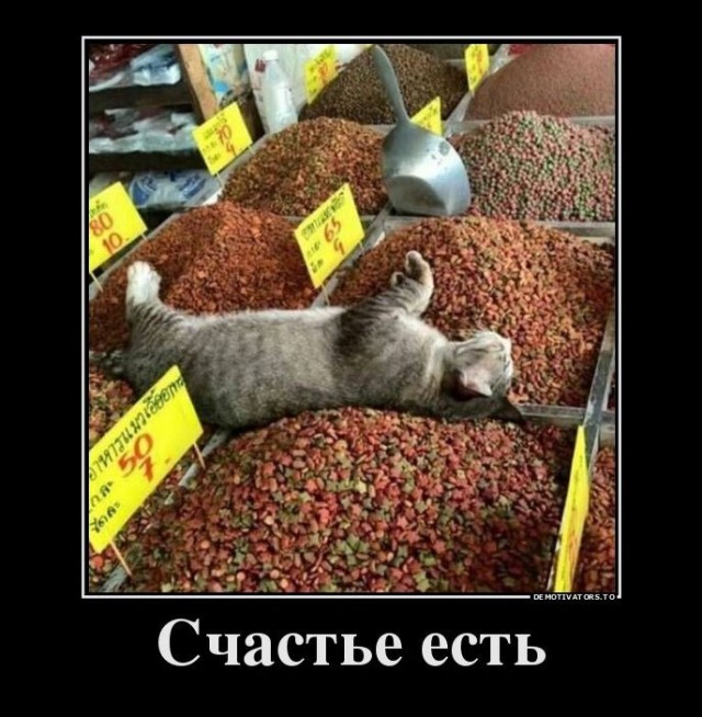 картинка 58cd2189d8 21119275