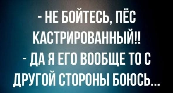 Среда — это маленькая пятница, а значит, пора выдохнуть! 🥂 Середина, поднимут, пролетит, пусть, коллегами, делитесь, смейтесь, улыбкойЛистайте, выходных, дотянуть, помогут, настроение, точно, недели, которые, мемов, отборных, порцию, Собрали, приятнее