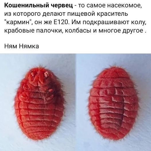 картинка 5e2cb09bce 00000