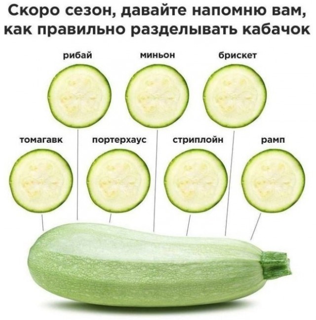 картинка 5ec44cd11e 21091257