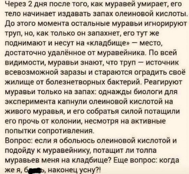 картинка 6188df9fb8 21119101