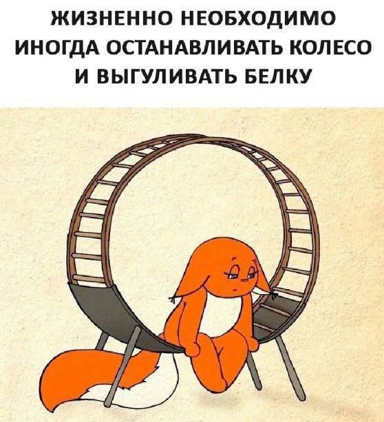 картинка 625c7e12e9 000