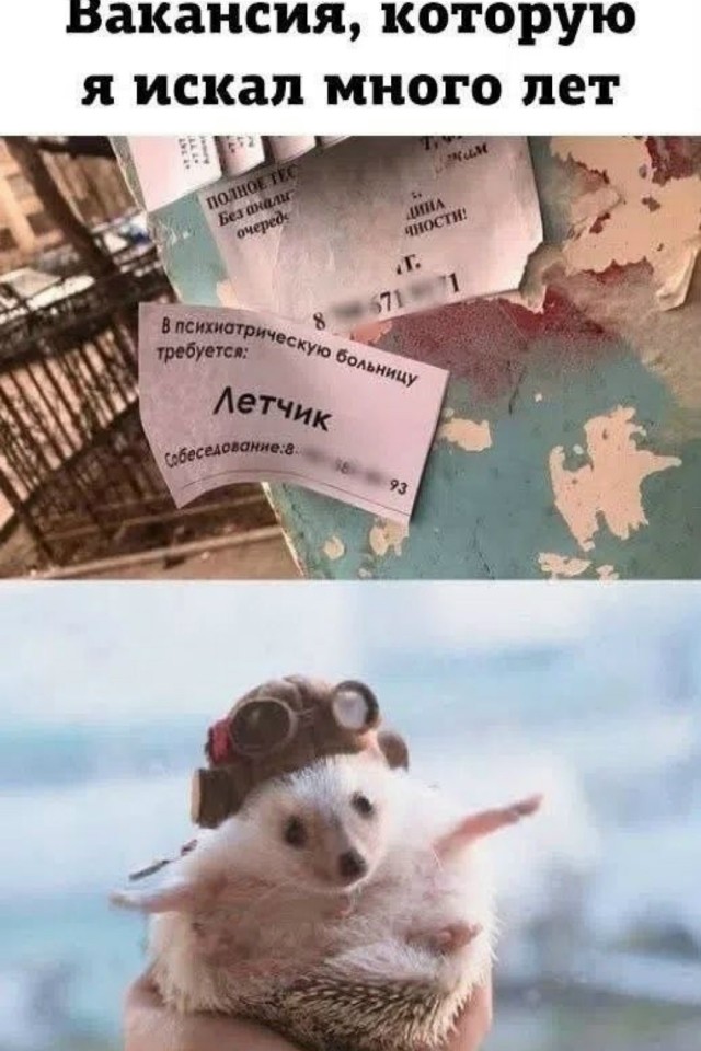 картинка 644e2dddbb 21159468