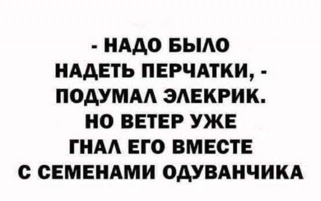 картинка 66ce62288a 21129502