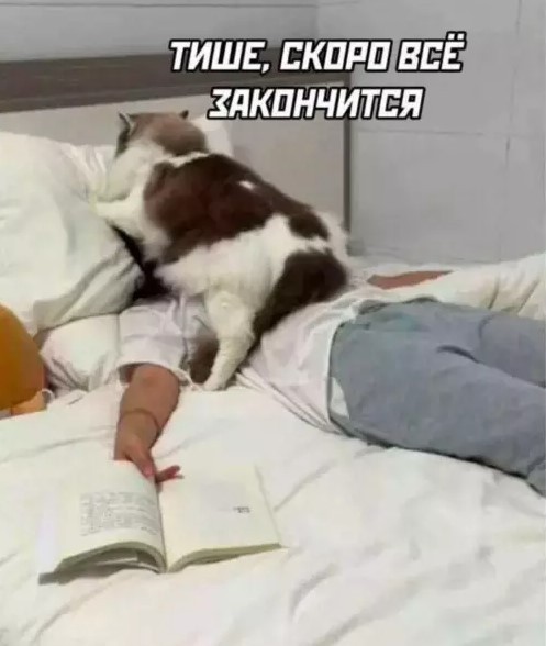 картинка 6a6870d82b sbornik pozitiva shutki memy i kartinki chtoby den stal chutochku luchshe 13